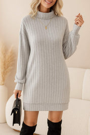 Light-gray ribbed turtleneck knit mini dress with long sleeves and straight hem, full-length styling — front view.