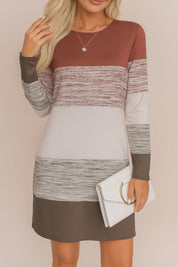 Brown/ivory/gray colorblock long-sleeve knit mini dress with round neckline and relaxed fit — studio lookbook video.